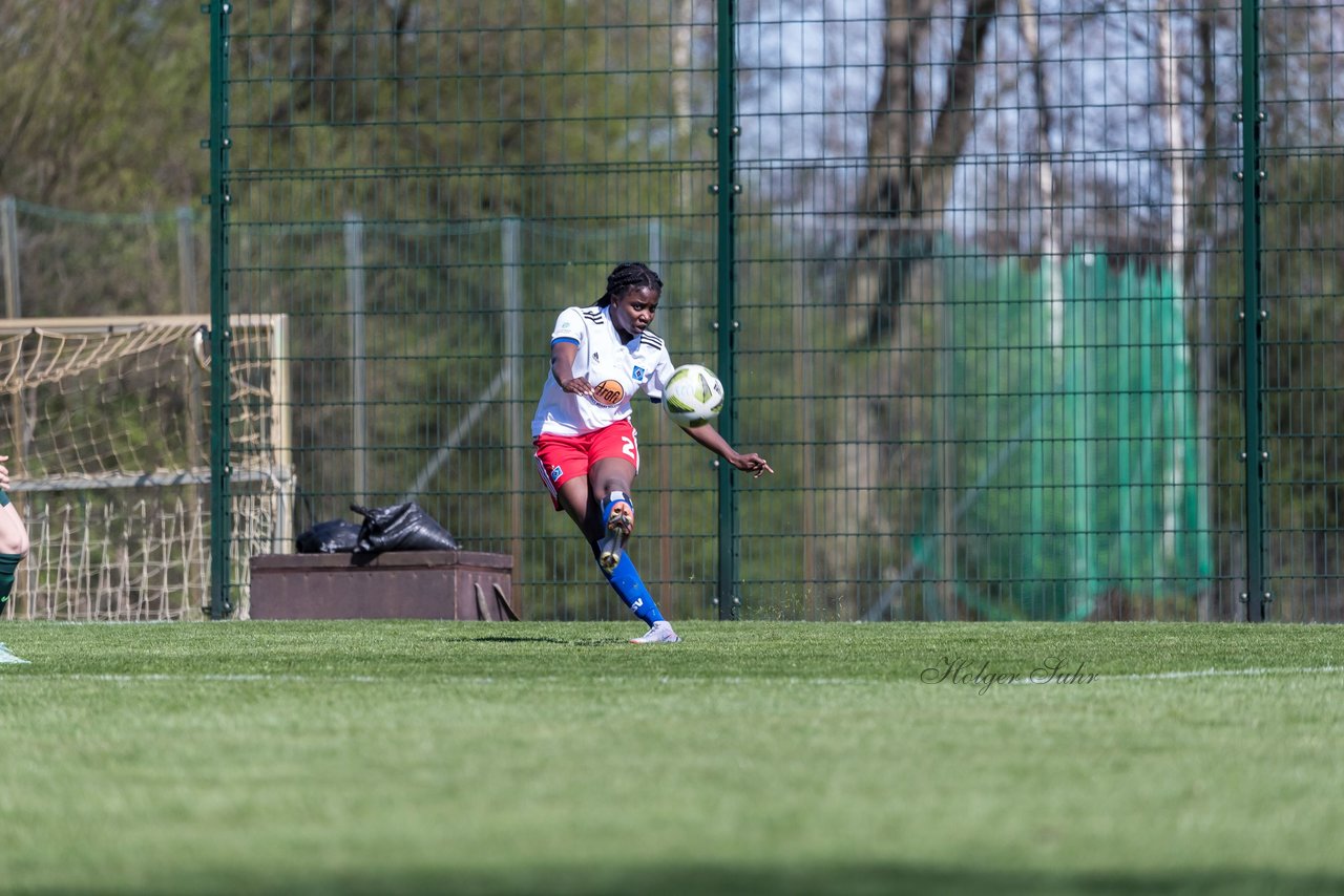 Bild 138 - wBJ Hamburger SV - WfL Wolfsburg : Ergebnis: 2:1